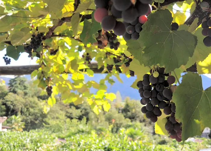 Al Torchio By Fewotessin Casa vacanze