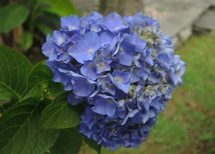 Tatil Evi Al Torchio By Fewotessin Riazzino