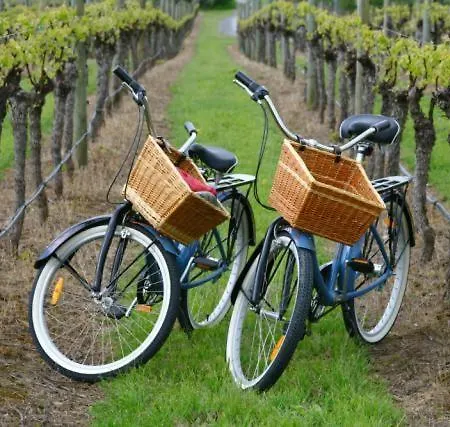 Al Torchio By Fewotessin Ferienhaus Riazzino