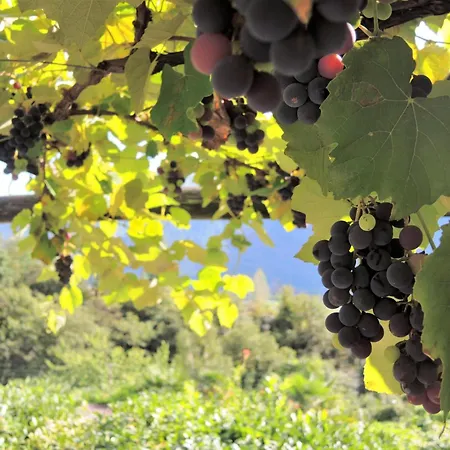 Al Torchio By Fewotessin Ferienhaus