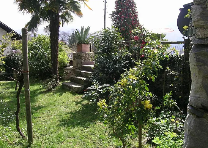 Al Torchio By Fewotessin